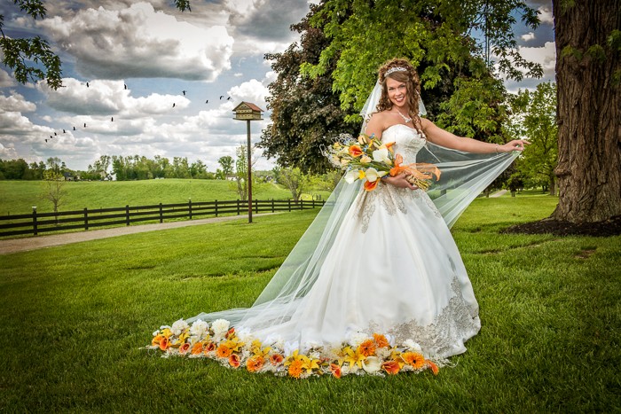 Brookside Farms Wedding - Dom Chiera Photography