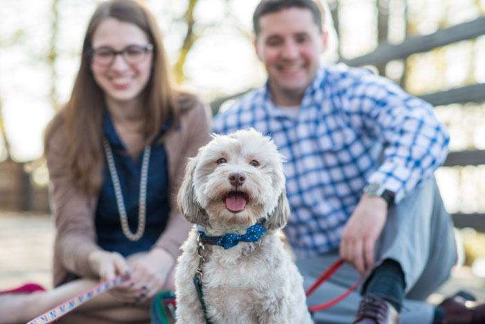 Paws In The Planning: The Best Ways to Incorporate Your Pooch