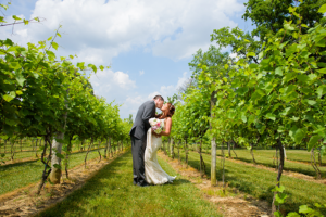 Romantic Italian Inspired Vineyard Styled Shoot