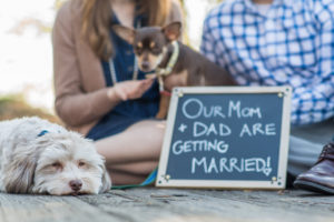 Wedding Signage Part I – Engagement Photos