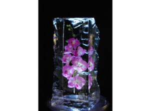 Modern & Timeless Frosted Decor