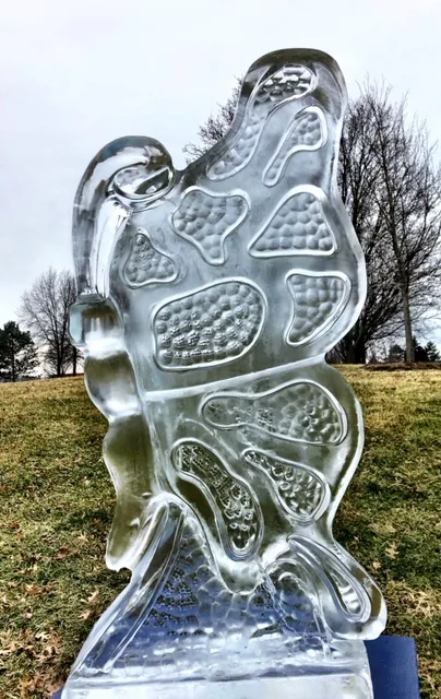 elegant-ice-creations-c936cf5c