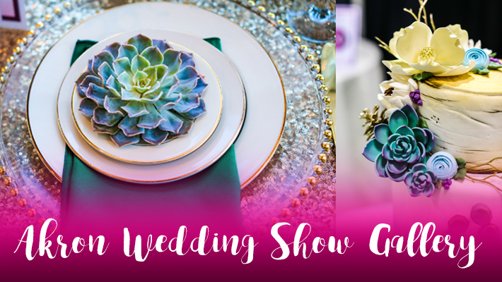 Akron Wedding Show Gallery