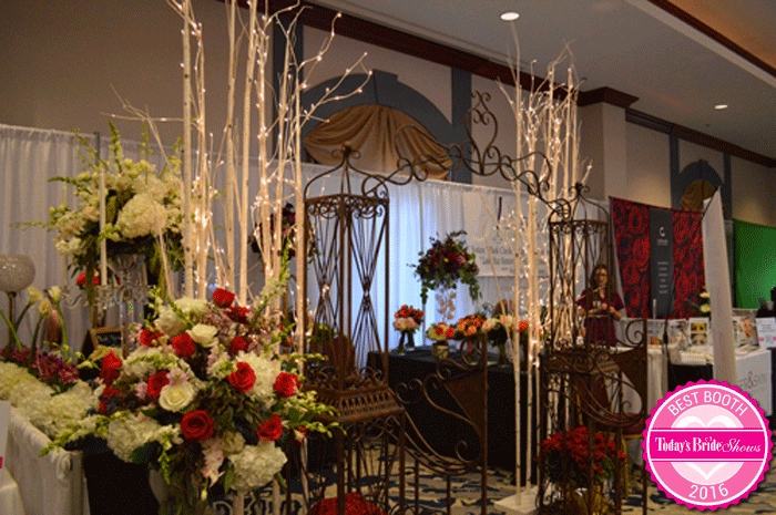 C Users Todays Bride Desktop forest woods 5