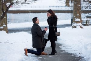 Your Proposal Stories