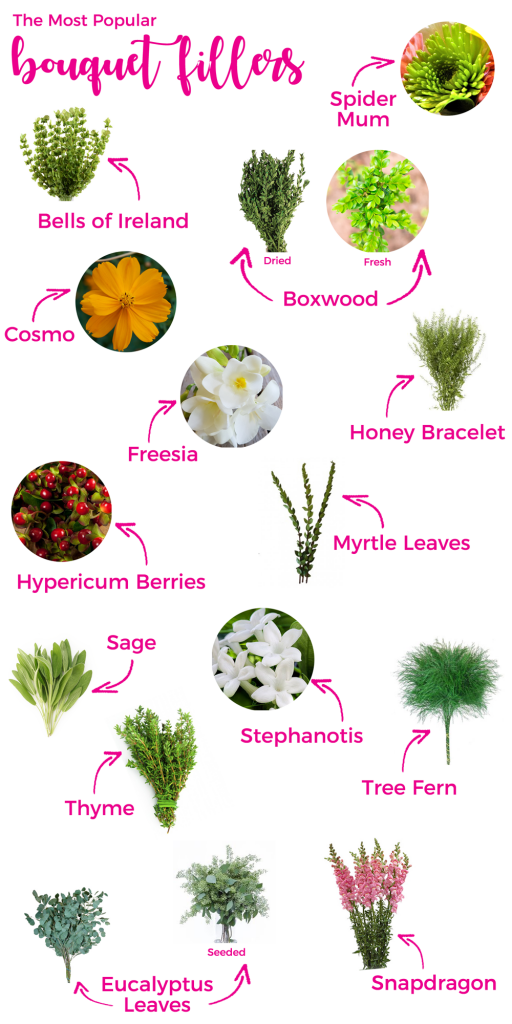 Flower Glossary | As seen on TodaysBride.com