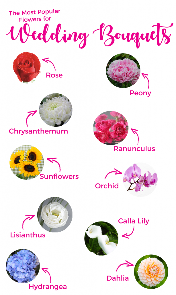 Flower Glossary | As seen on TodaysBride.com