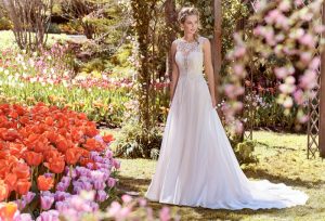 Juniper Collection by Rebecca Ingram