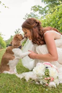 Including Your Pets in Your Wedding