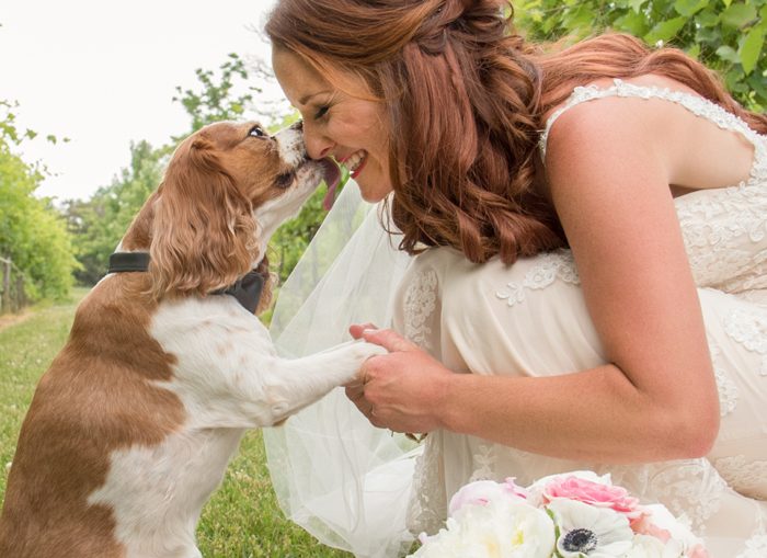 Pets in Wedding | Sabrina Hall Photography | As seen on TodaysBride.com