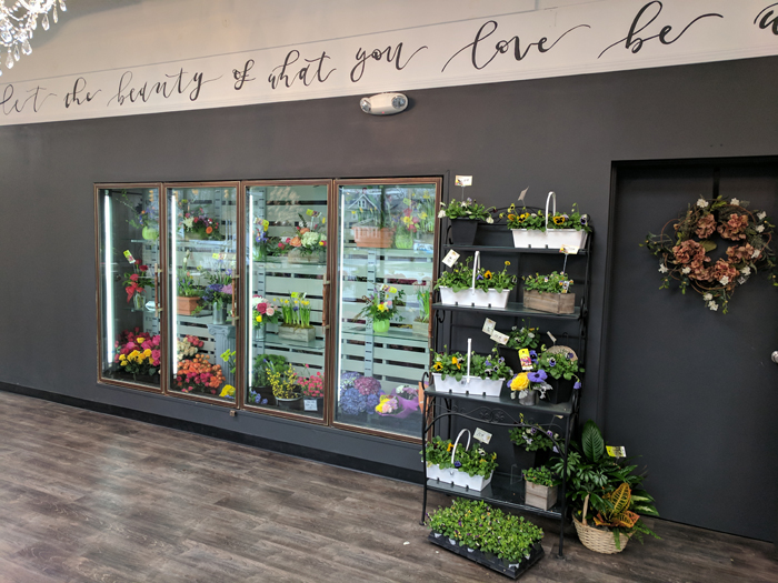 IMG 20180403 130547 2