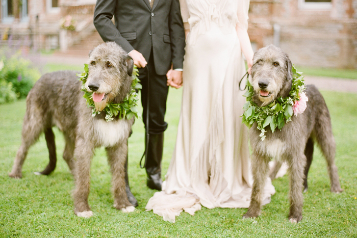 Pets in Wedding | KT Merry Photography | As seen on TodaysBride.com