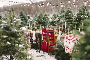 Christmas Tree Farm Styled Shoot
