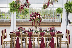 Getting to Know All Events Rental
