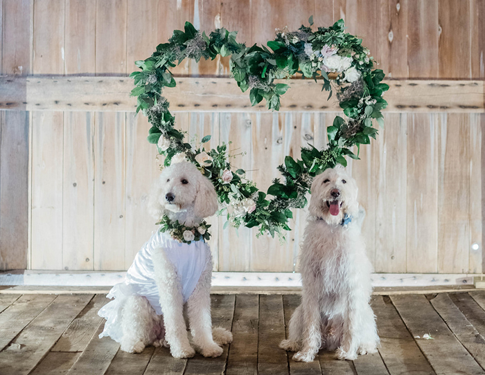 Puppy Love Furever Styled Shoot