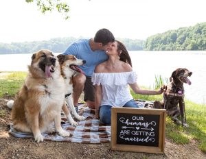 Creative Ways to Announce your Engagement