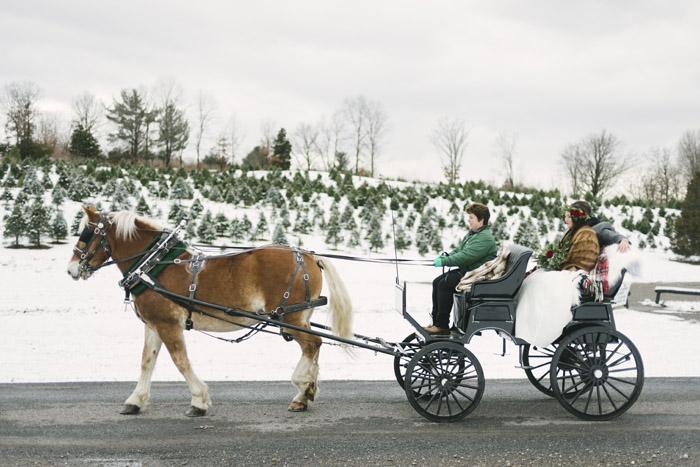 Horse Drawn Carriage | Alicia King Photography | As seen on TodaysBride.com