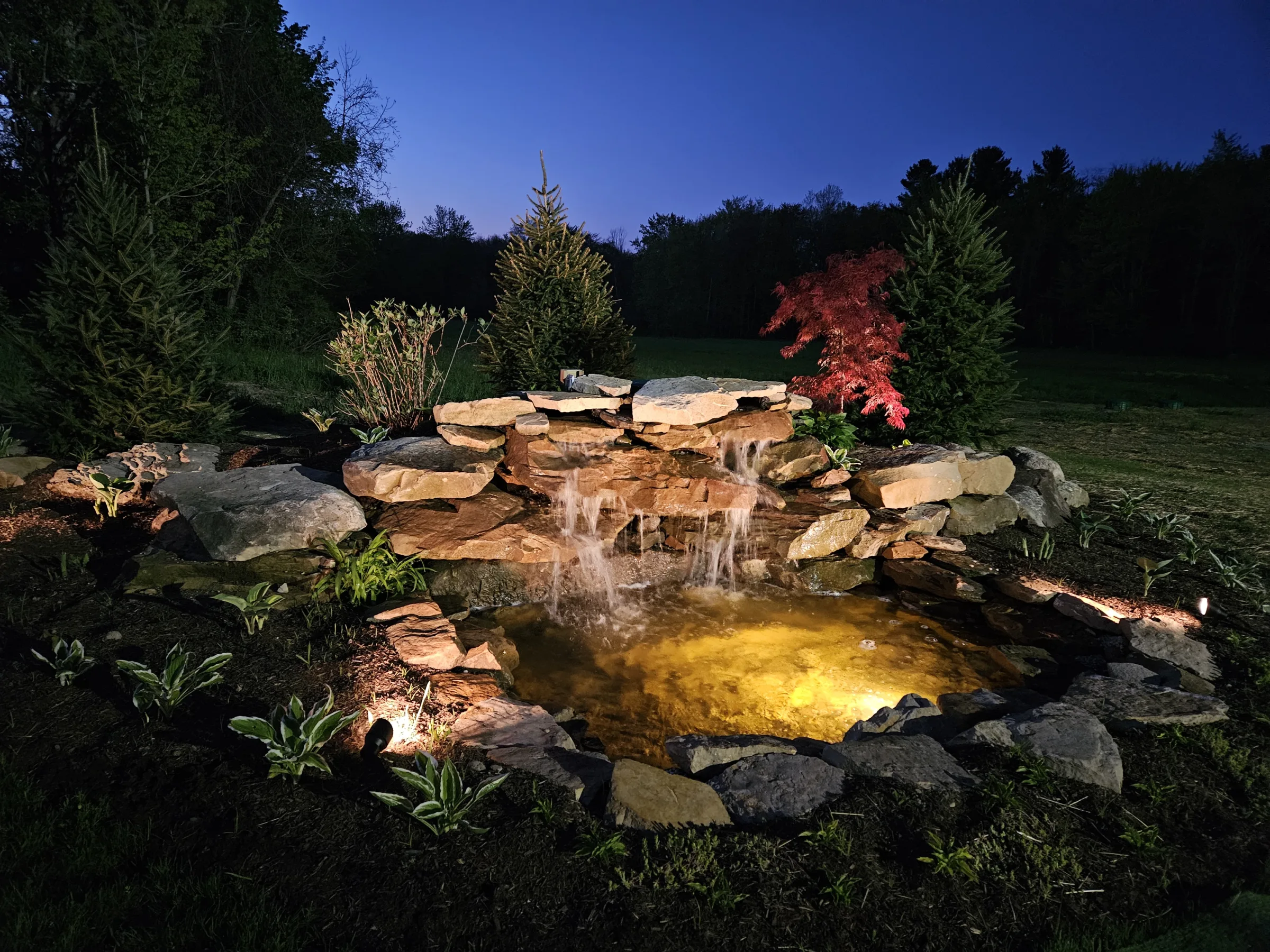 bella-dawn-events-991c6c46