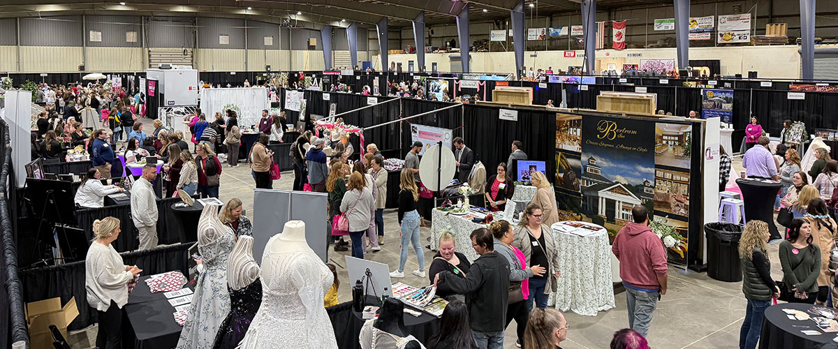 november show header