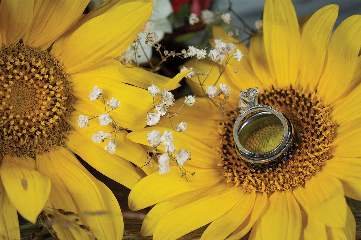 bridal lay on sunflower