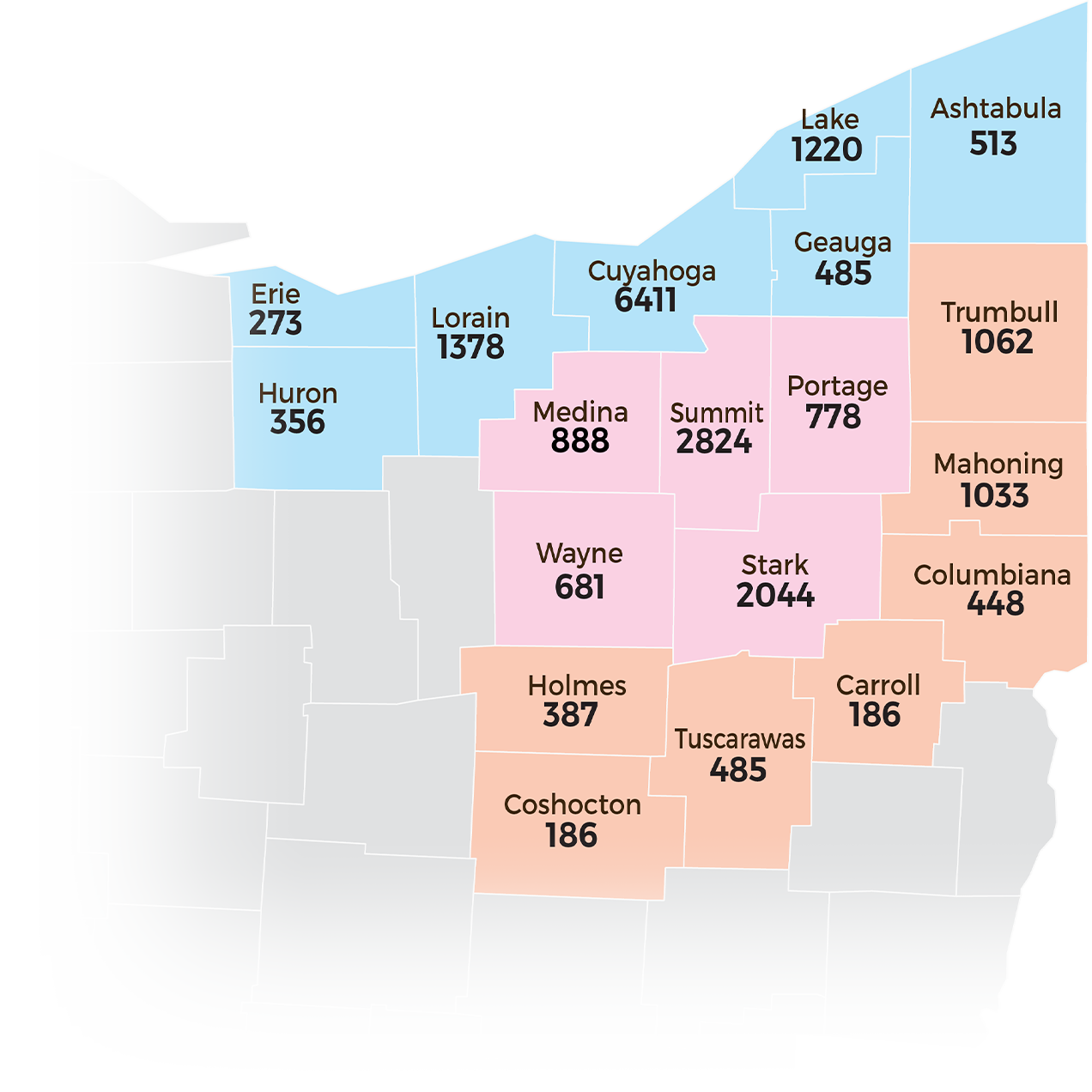 Number of marriage licenses issued in Northeast Ohio counties in 2024