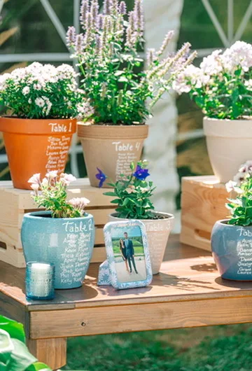 hunny-events-6e6fbbd6