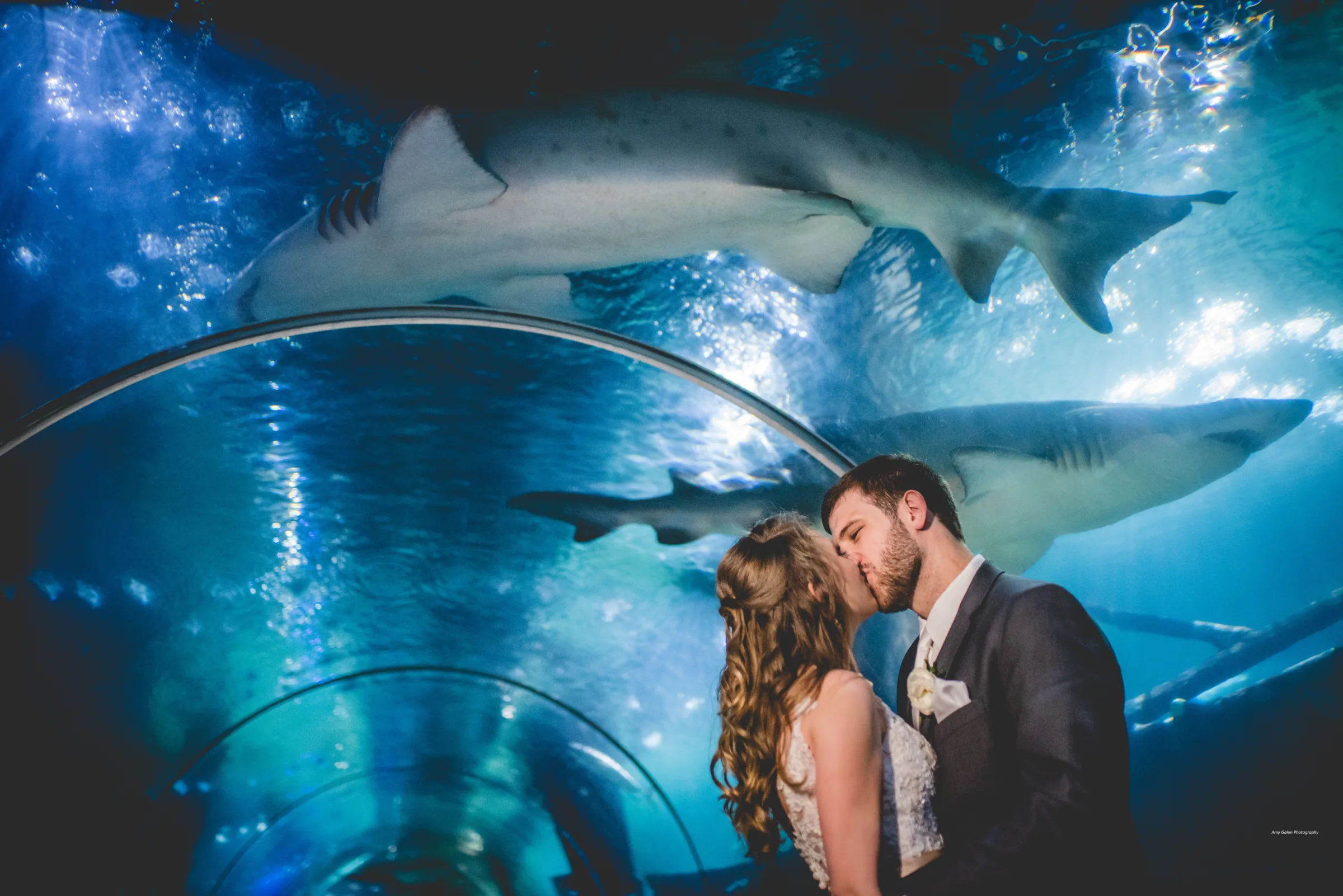 greater-cleveland-aquarium-2a0f0883