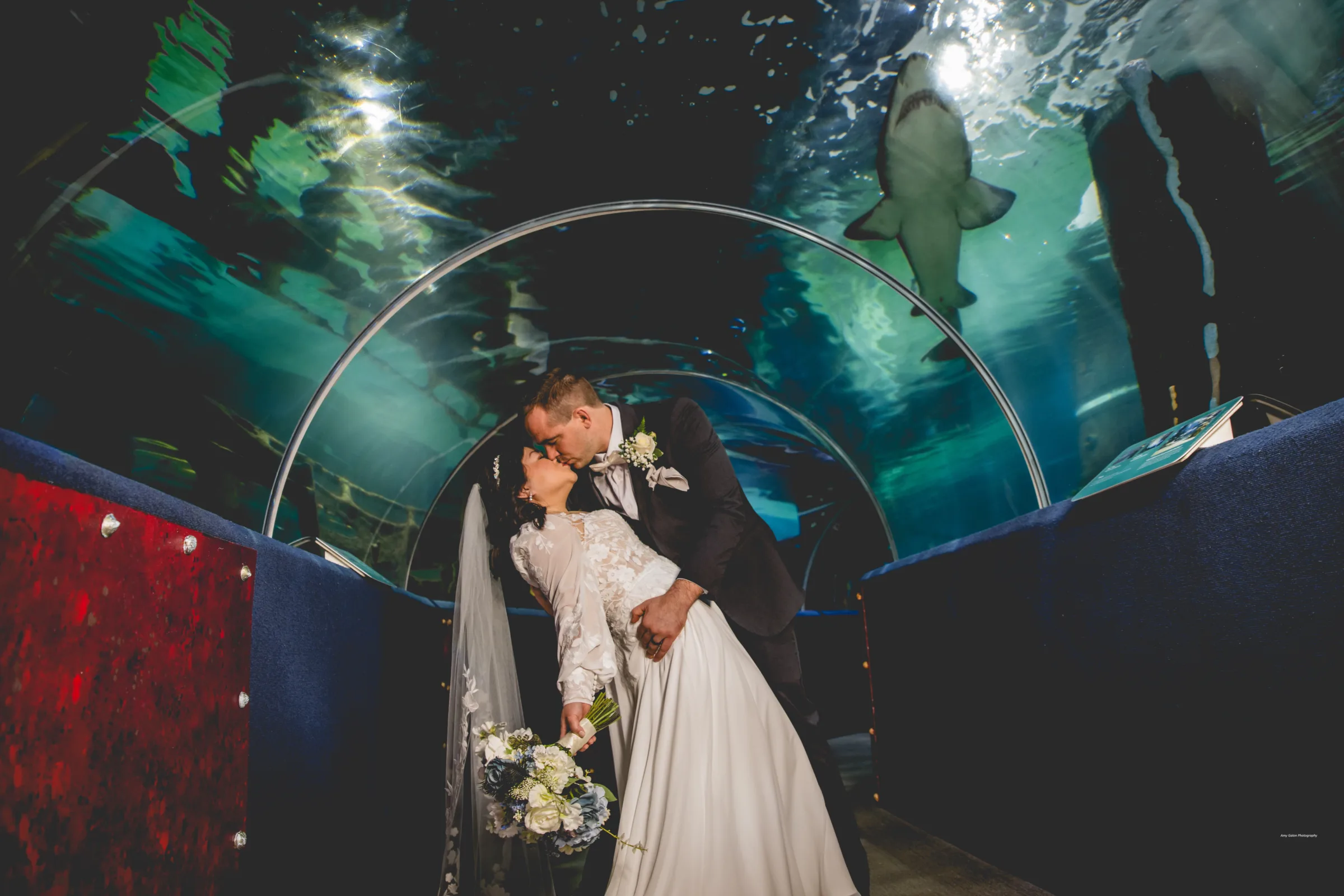 greater-cleveland-aquarium-fe54503c